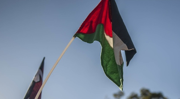 A Palestinian flag flies at a pro-Palestinian rally in Gauteng. Photo by Ihsaan Haffejee