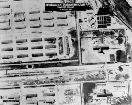 Auschwitz SAAF