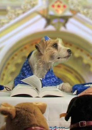 bark-mitzvah