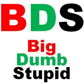 BDS-14 -Big Dumb Stupid