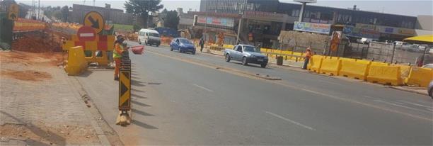 Louis Botha Ant pic Across balfour park