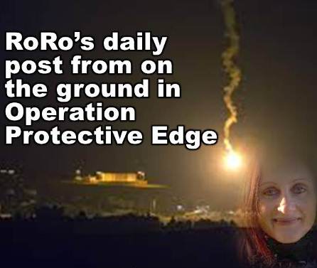 RoRo Protective Edge full