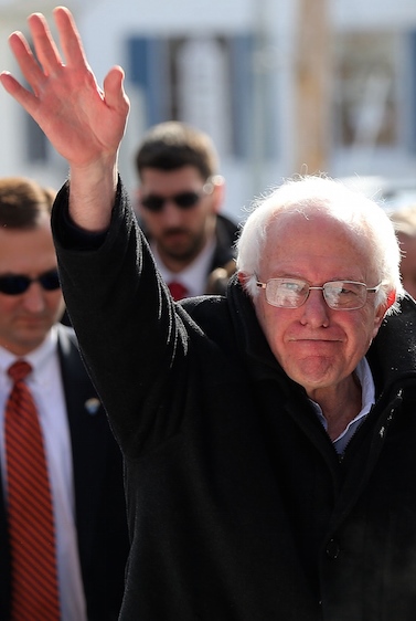 Sanders - bernie