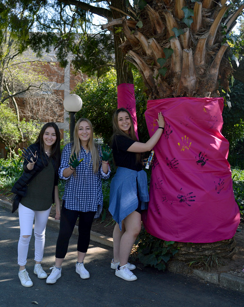 YouthKDLHSPinkTrees YouthKDLHSPinkTrees